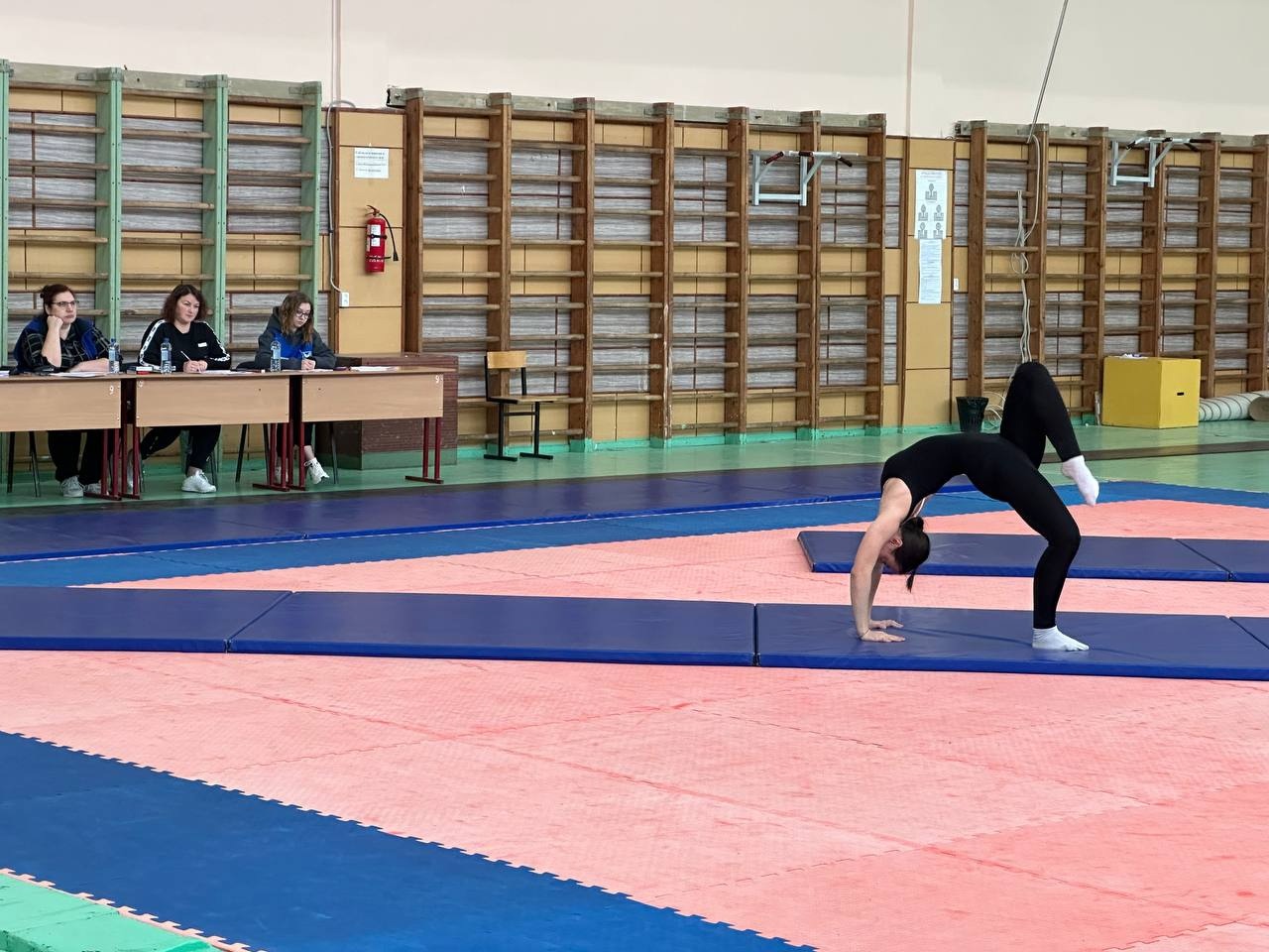 На спортивной площадке Вологодского госуниверситета прошли состязания практического тура регионального этапа ВсОШ по физической культуре